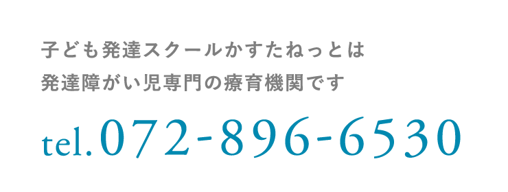 子ども発達スクールかすたねっとは発達障がい児専門の療育機関です